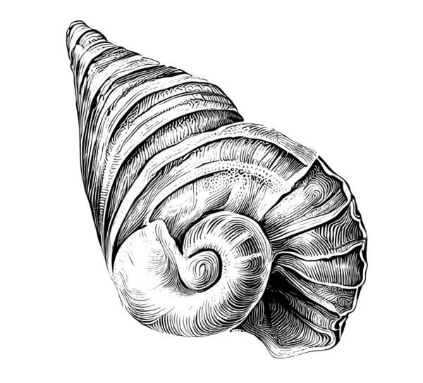 Sea Shell Hand Drawn Sketch Underwater World Vector Illustration — Vettoriale Stock