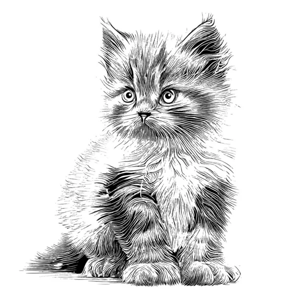 Cute Little Fluffy Kitten Sitting Sketch Hand Drawn Engraving Style — Archivo Imágenes Vectoriales