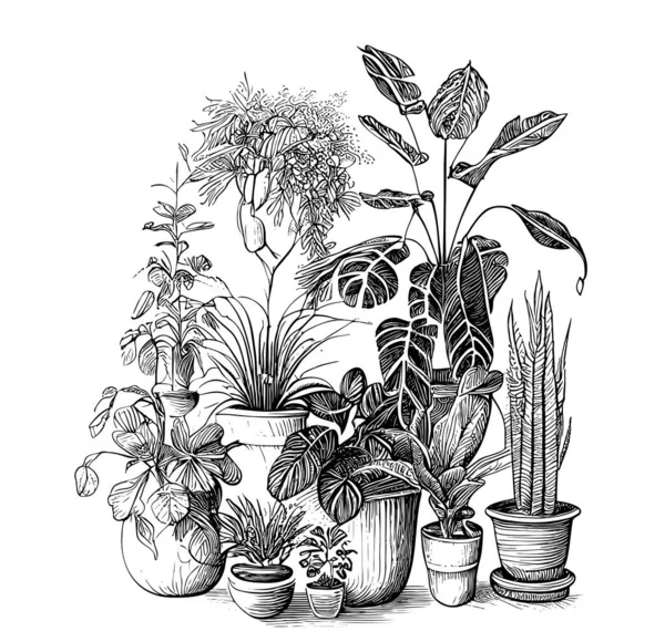 House Plants Pots Hand Drawn Sketch Vector Illustration - Stok Vektor