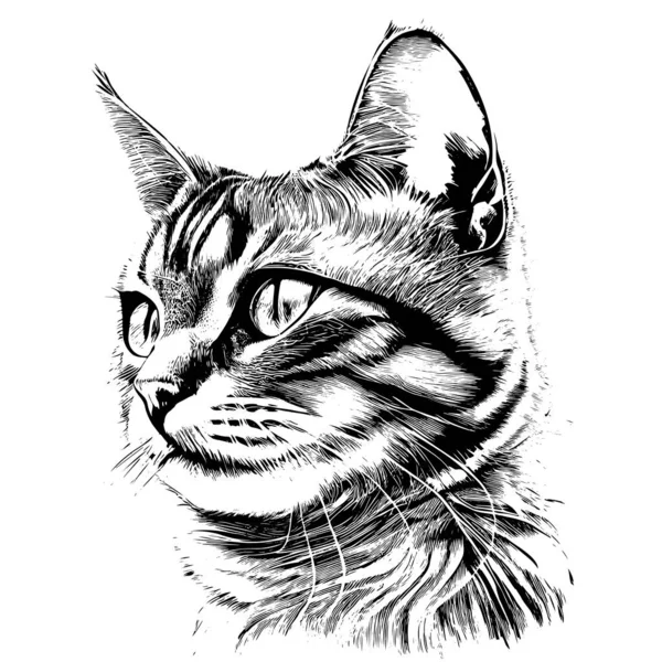 Cute Cat Portrait Hand Drawn Sketch Engraving Style Vector Illustration — Vetor de Stock