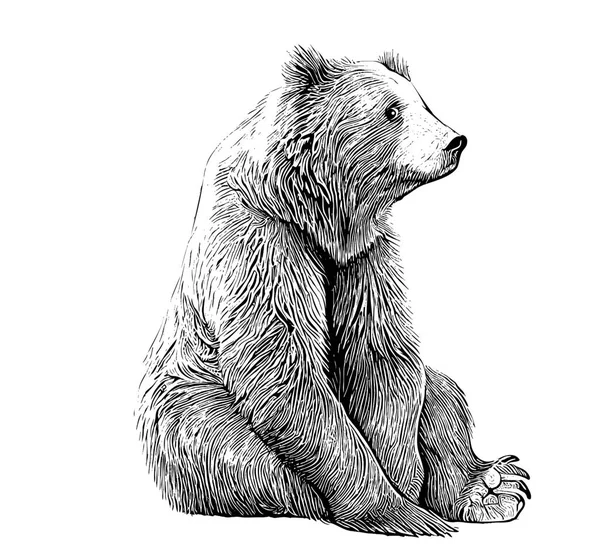 Cute Bear Animal Sitting Hand Drawn Engraving Sketch Vector Illustration — Stockový vektor