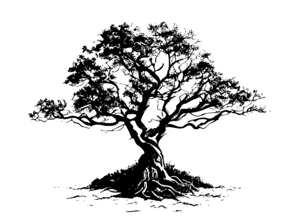 Oak Tree Silhouette Sketch Hand Drawn Doodle Style Vector Illustration — Stockový vektor