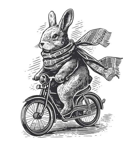 スカーフの中のウサギは 人形のスタイルで描かれた自転車の手のスケッチに乗るベクトルイラスト — ストックベクタ