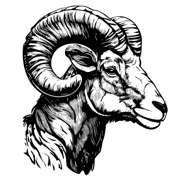 Ram Portrait Hand Drawn Sketch Vector Illustration Farm Animals — Stock vektor