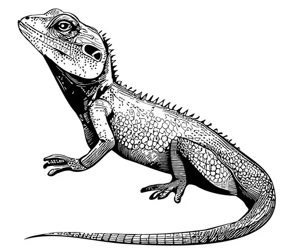 Sitting Lizard Hand Drawn Sketch Vector Illustration Animals Reptiles —  Vetores de Stock