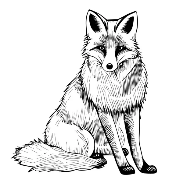 Cute Fox Sitting Hand Drawn Sketch Illustration Wild Animals — Stok Vektör