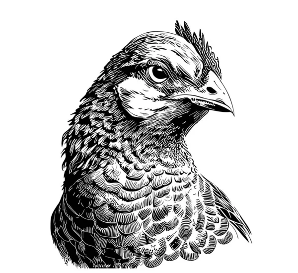 Farm Hen Portrait Hand Drawn Sketch Vector Illustration Farming — Vettoriale Stock
