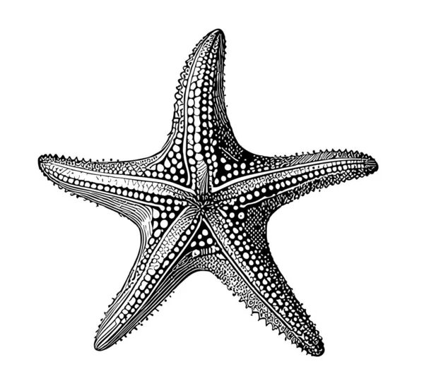 Starfish Hand Drawn Sketch Illustration Sea Animals — Stock Vector