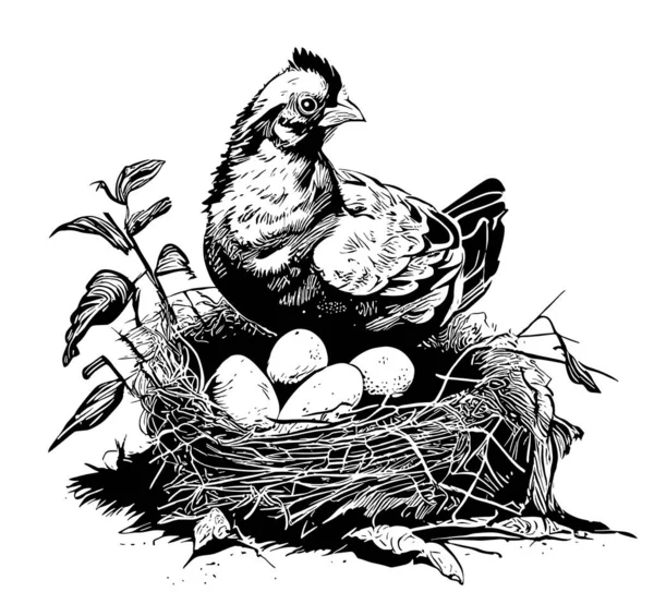 Хен Сидячи Гнізді Яйцями Намальована Ілюстрація Ескізу — стоковий вектор