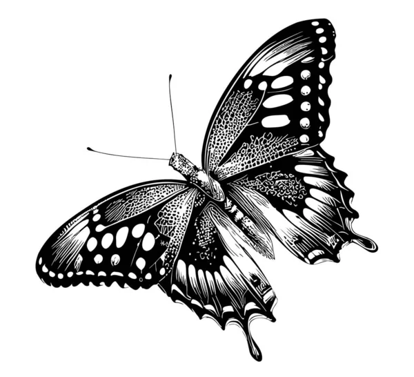 Pillangó Fehér Háttér Kézzel Rajzolt Vázlat Illusztráció Rovarok — Stock Vector