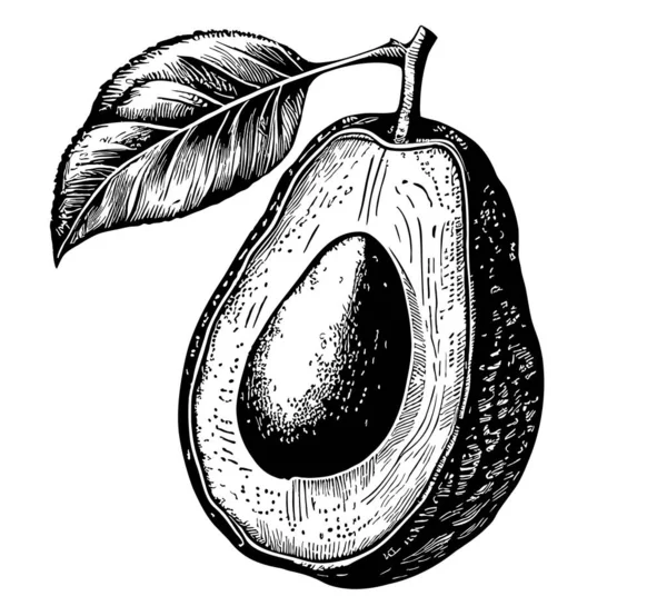 Hälften Avokado Retro Hand Dras Skiss Grönsaker Och Frukt Illustration — Stock vektor