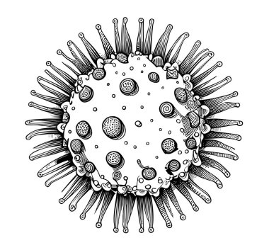Coronovirus elle çizilmiş çizim çizimi