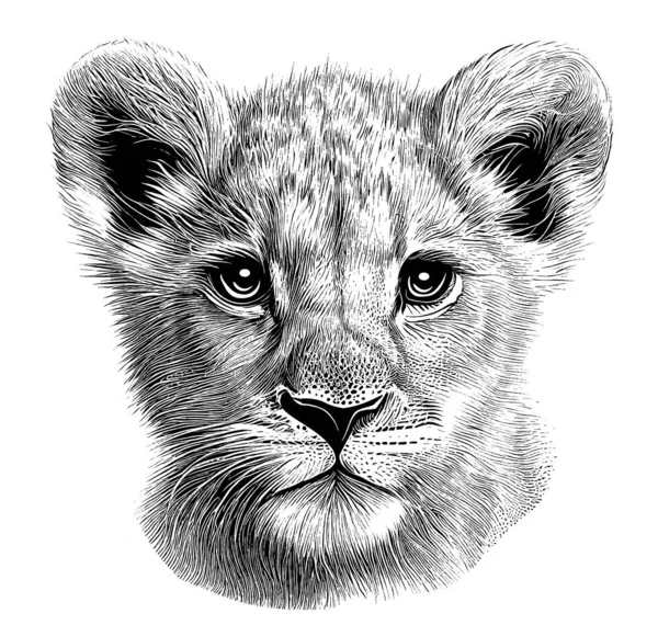 Pequeno Leão Filhote Retrato Mão Desenhado Esboço Ilustração Animais Selvagens — Vetor de Stock
