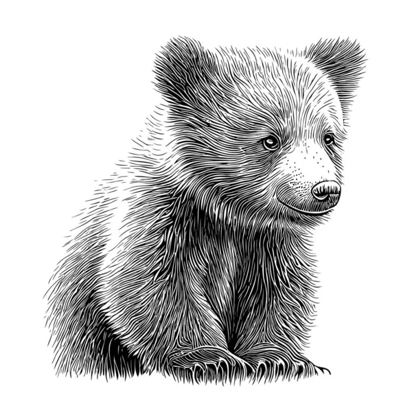 Pequeno Urso Filhote Desenhado Mão Esboço Vector Ilustração Animais — Vetor de Stock