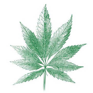Marihuana yaprağı çizimi karalama stili Vektör çizimi Simbol
