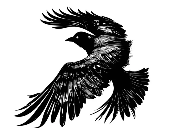 Raven Silueta Voladora Dibujo Dibujado Mano Ilustración — Vector de stock