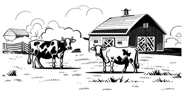 奶牛在田野里吃草的背景是农场手绘的草图 — 图库矢量图片
