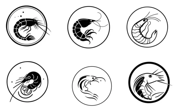 Set Icona Gamberetti Disegnato Mano Disegno Vettoriale Logo — Vettoriale Stock