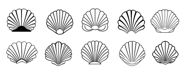 Sea Shell Set Icons Hand Drawn Sketch Illustration — Stock Vector