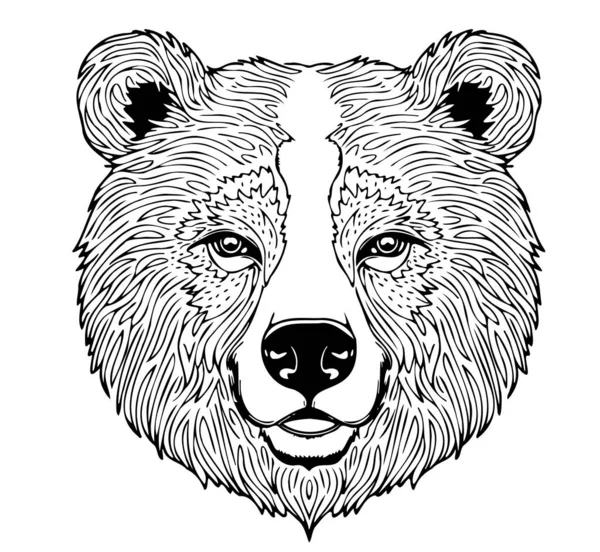 Medvědí Hlava Skica Ručně Kreslený Kreslený Kreslený Styl Ilustrace — Stockový vektor