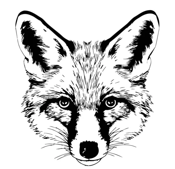 Fox Hoofd Schets Hand Getekend Doodle Stijl Illustratie — Stockvector