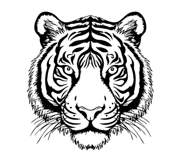 Gesichtsskizze Des Tigers Zeichnung Cartoon Stil — Stockvektor