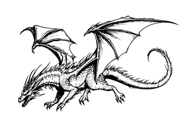 Fantasía Dragón Volador Boceto Ilustración Mitos Leyendas — Archivo Imágenes Vectoriales