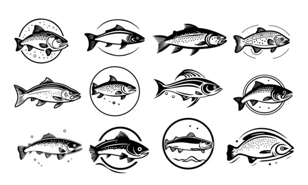Sammlung Von Fisch Ikonen Skizze Handgezeichnete Illustration Logo — Stockvektor