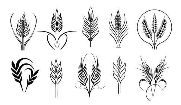 Wheat set logo hand drawn sketch illustration
