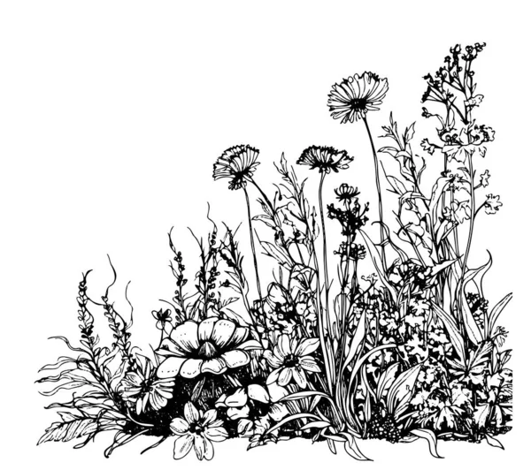Partie Croquis Dessiné Main Champ Fleurs Sauvages Dans Une Illustration — Image vectorielle