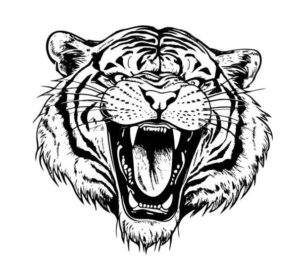 Głowa Ryczącego Tygrysa Ręcznie Rysowane Szkic Stylu Doodle Ilustracji — Wektor stockowy