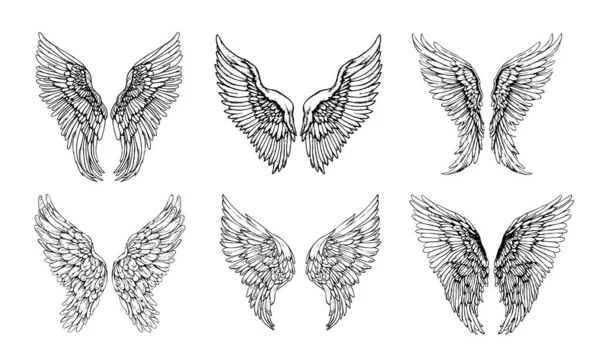 Wings Set Boceto Dibujado Mano Estilo Doodle Ilustración — Vector de stock