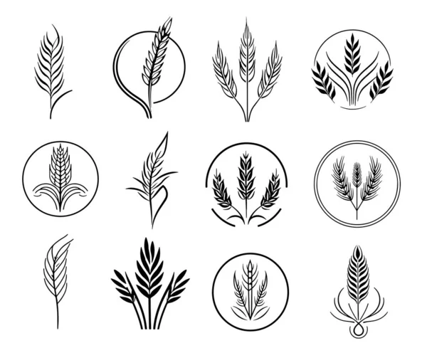 Uszy Pszenicy Zestaw Logo Szkic Strony Rysowane Stylu Doodle Rolnictwo — Wektor stockowy