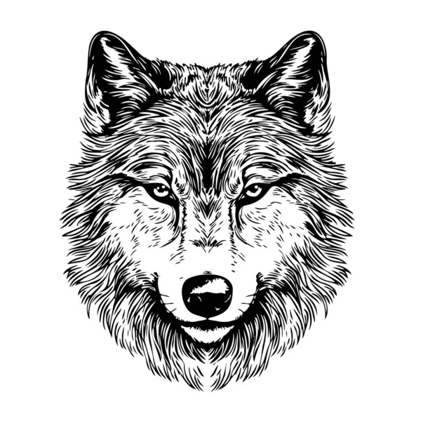 Wolf Κεφάλι Σκίτσο Χέρι Που Στην Εικόνα Στυλ Doodle — Διανυσματικό Αρχείο