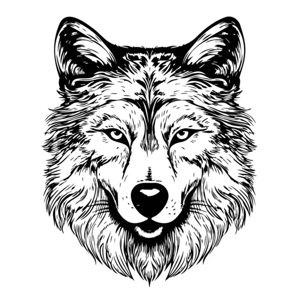 Wolf Gezicht Schets Hand Getekend Doodle Stijl Illustratie — Stockvector