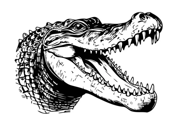 Çizim Stili Çizimle Çizilmiş Krokodil Başı Çizimi — Stok Vektör