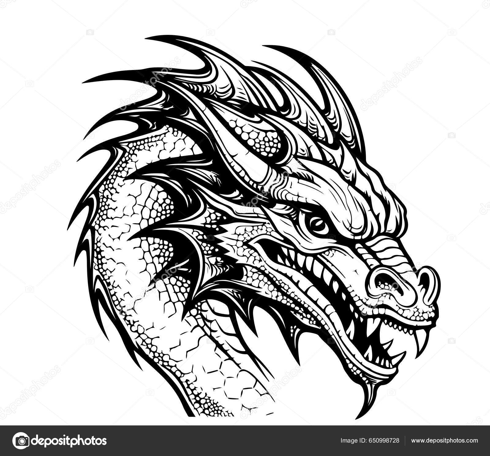 Dragon Sketch 4 by ryu-takeshi on deviantART | Dragon drawings in pencil, Dragon  sketch, Dragon head drawing