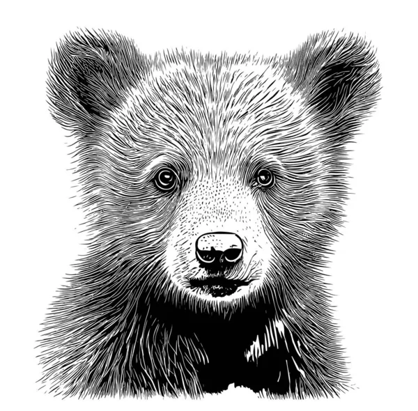 Bear Cub Rosto Esboço Mão Desenhado Desenho Animado Estilo Ilustração —  Vetores de Stock