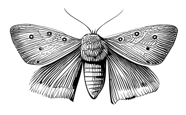 Insecte Molii Desenate Manual Schiță Stil Doodle Ilustrare — Vector de stoc