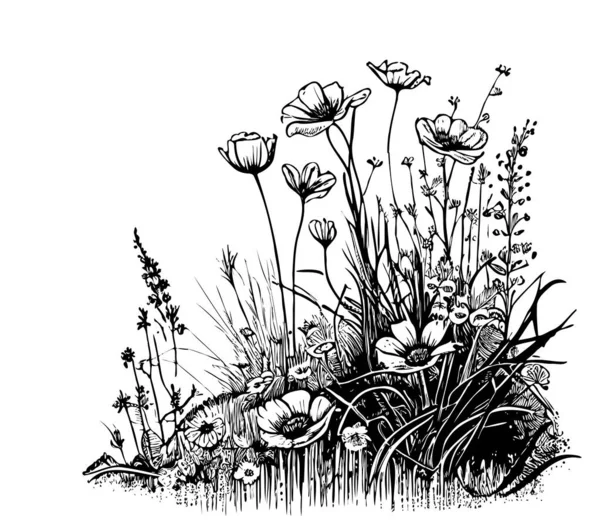 Λουλούδια Μέρος Του Τομέα Χέρι Σχέδιο Εικονογράφηση Σκίτσο — Διανυσματικό Αρχείο
