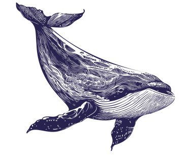 Karalama stilinde çizilmiş balina deniz hayvanı resmi.