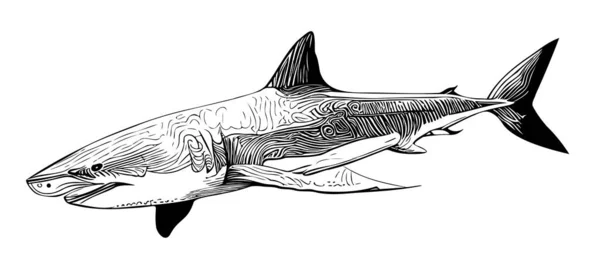 Esboço Desenhado Mão Tubarão Ilustração Estilo Doodle — Vetor de Stock
