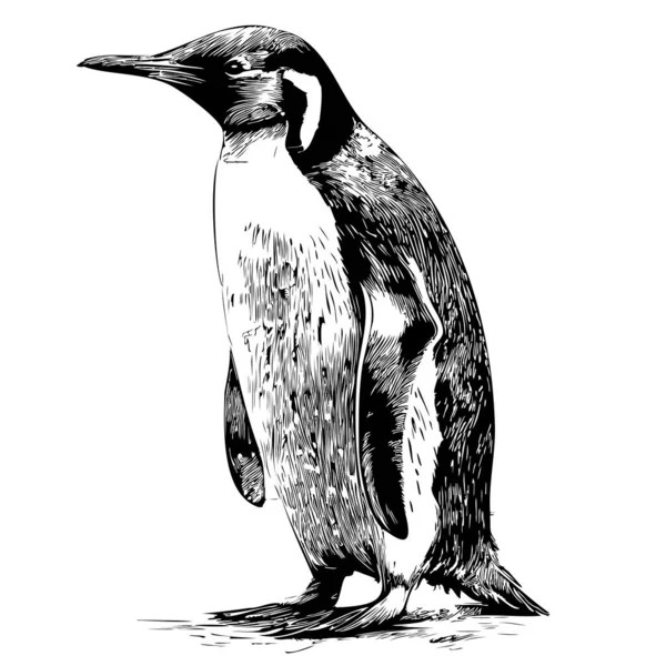 Pingwin Ręcznie Rysowane Szkic Stylu Doodle Ilustracji — Wektor stockowy