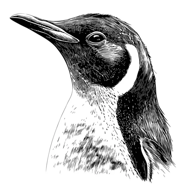 Faccia Pinguino Schizzo Disegnato Mano Stile Doodle Illustrazione — Vettoriale Stock