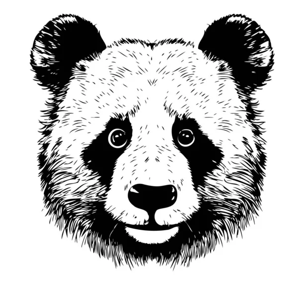 Panda Hlava Skica Ručně Kreslené Kresleném Stylu Ilustrace — Stockový vektor