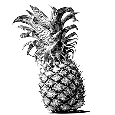 Karalama stili vektörle çizilmiş ananas meyveli çizim el.