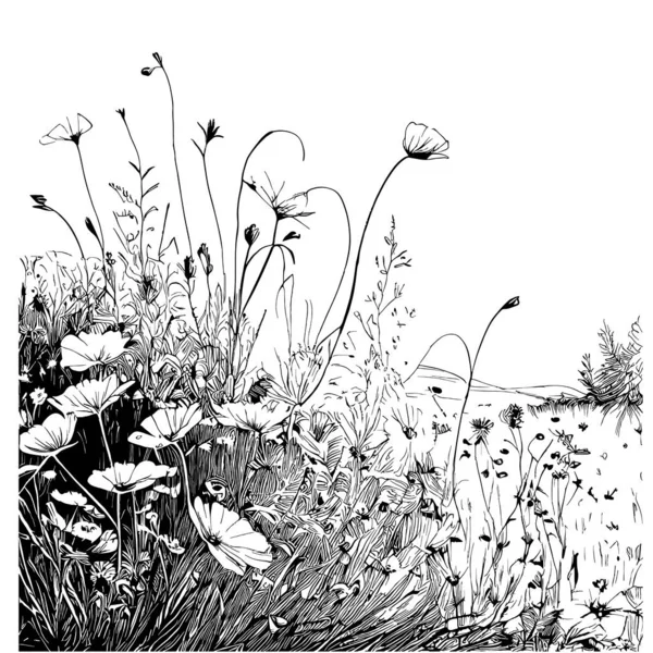Louka Wildflowers Ručně Kreslený Náčrt Kresleném Stylu Ilustrace — Stockový vektor