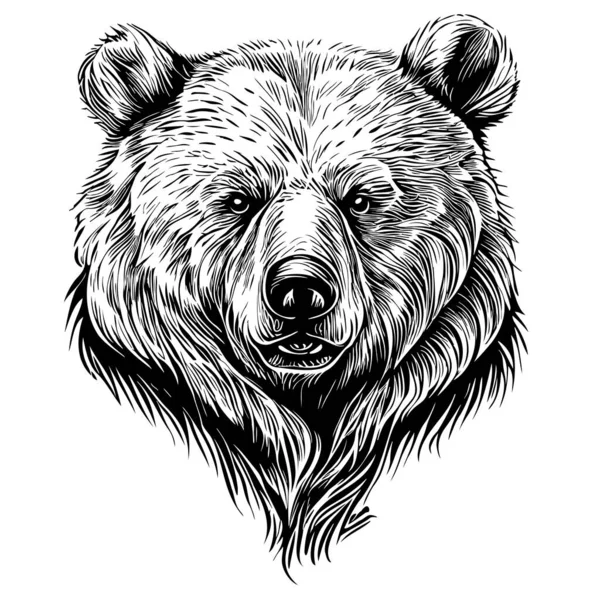 Medvědí Tvář Náčrtek Rukou Nakreslené Kresleném Stylu Ilustrace — Stockový vektor