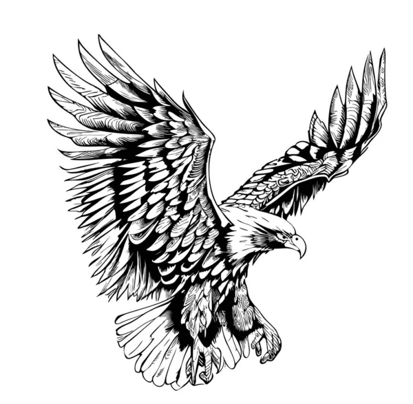 Croquis Aigle Volant Dessiné Main Dans Une Illustration Style Doodle — Image vectorielle