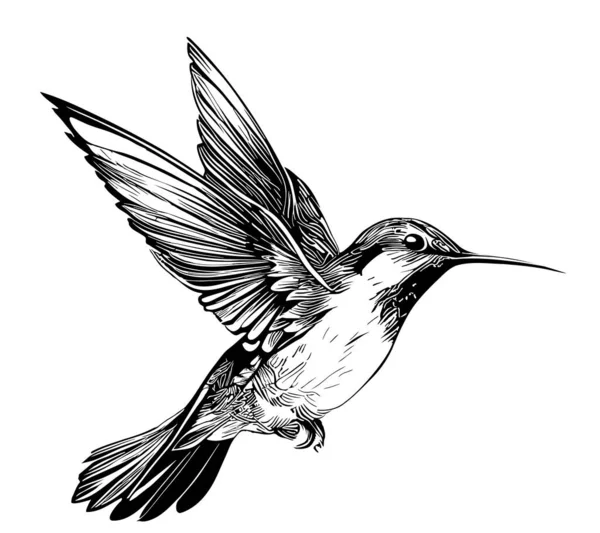 Kolibri Vogelflug Handgezeichnete Skizze Doodle Stil — Stockvektor